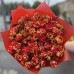 Букет из 25 кустовых роз  Fire Flash